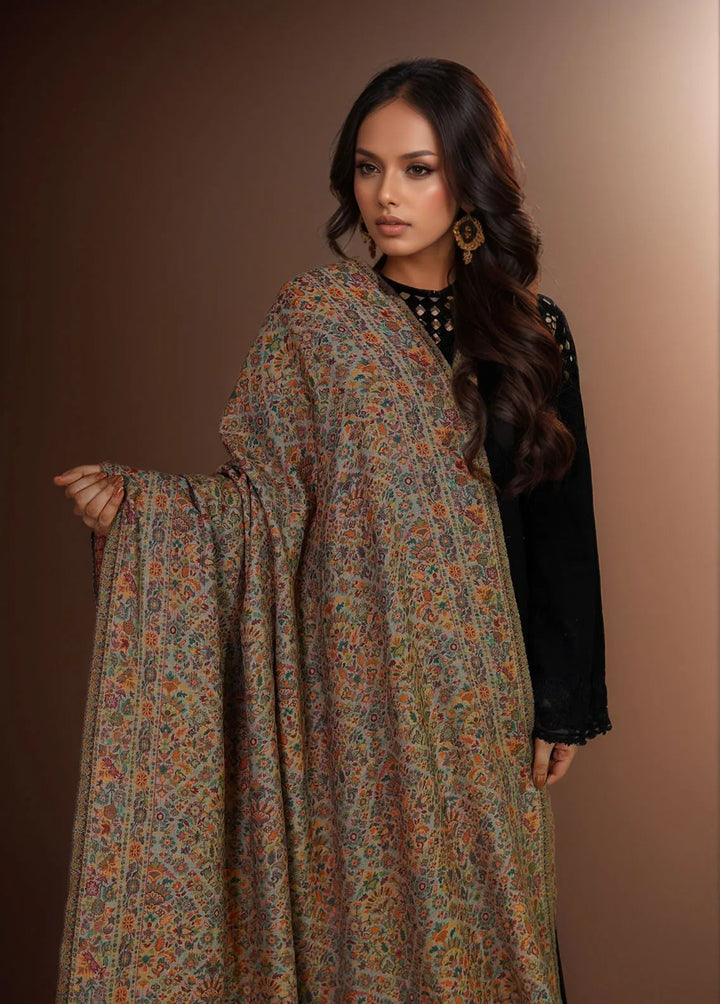 Sanaulla Exclusive Range Pashmina Shawl KPS D-18 Multi 21 - Winter Collection