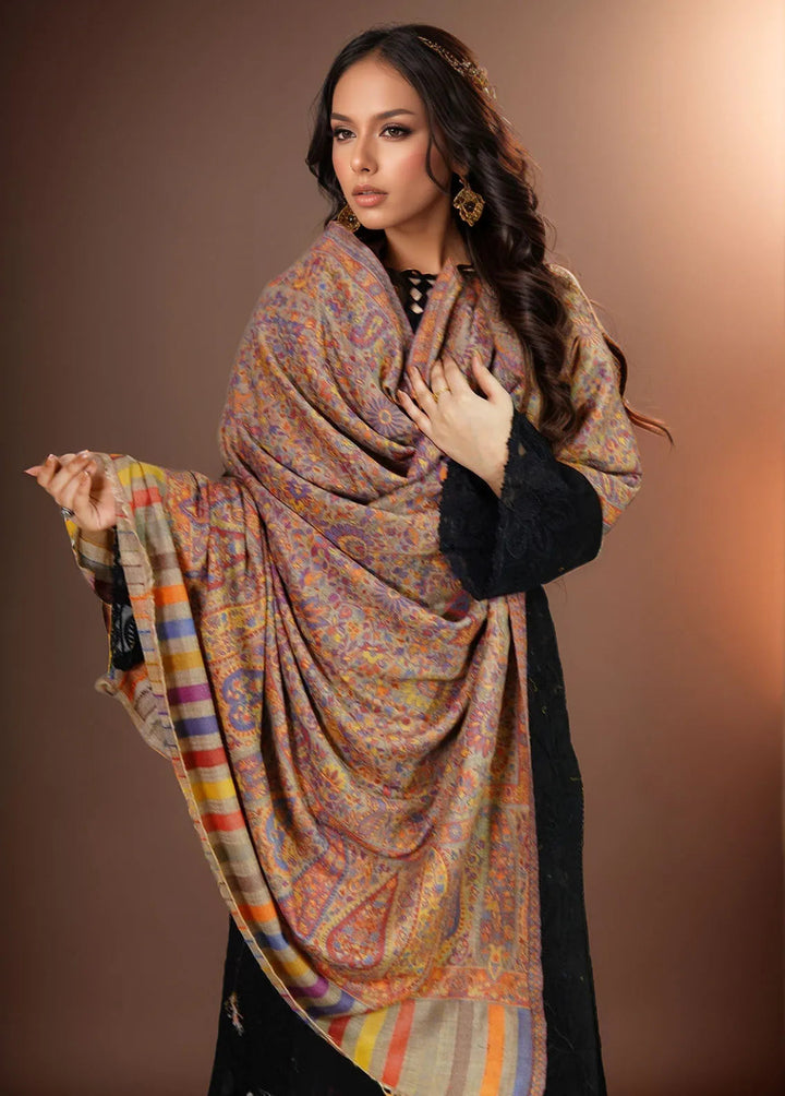 Sanaulla Exclusive Range Pashmina Shawl KPS D-18 Multi 5 - Winter Collection