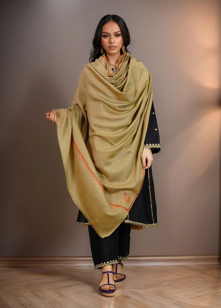Sanaulla Exclusive Range Pashmina Shawl KPS D-19 Brown 1 - Winter Collection