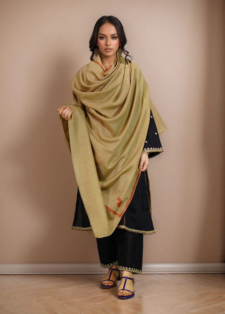 Sanaulla Exclusive Range Pashmina Shawl KPS D-19 Brown - Winter Collection