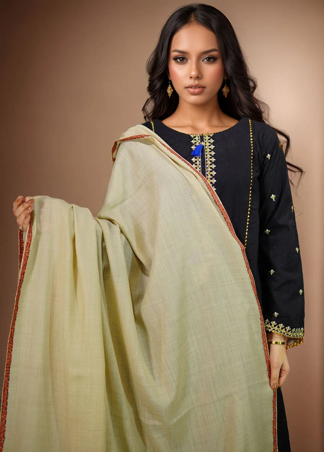Sanaulla Exclusive Range Pashmina Shawl KPS D-19 Cream - Winter Collection
