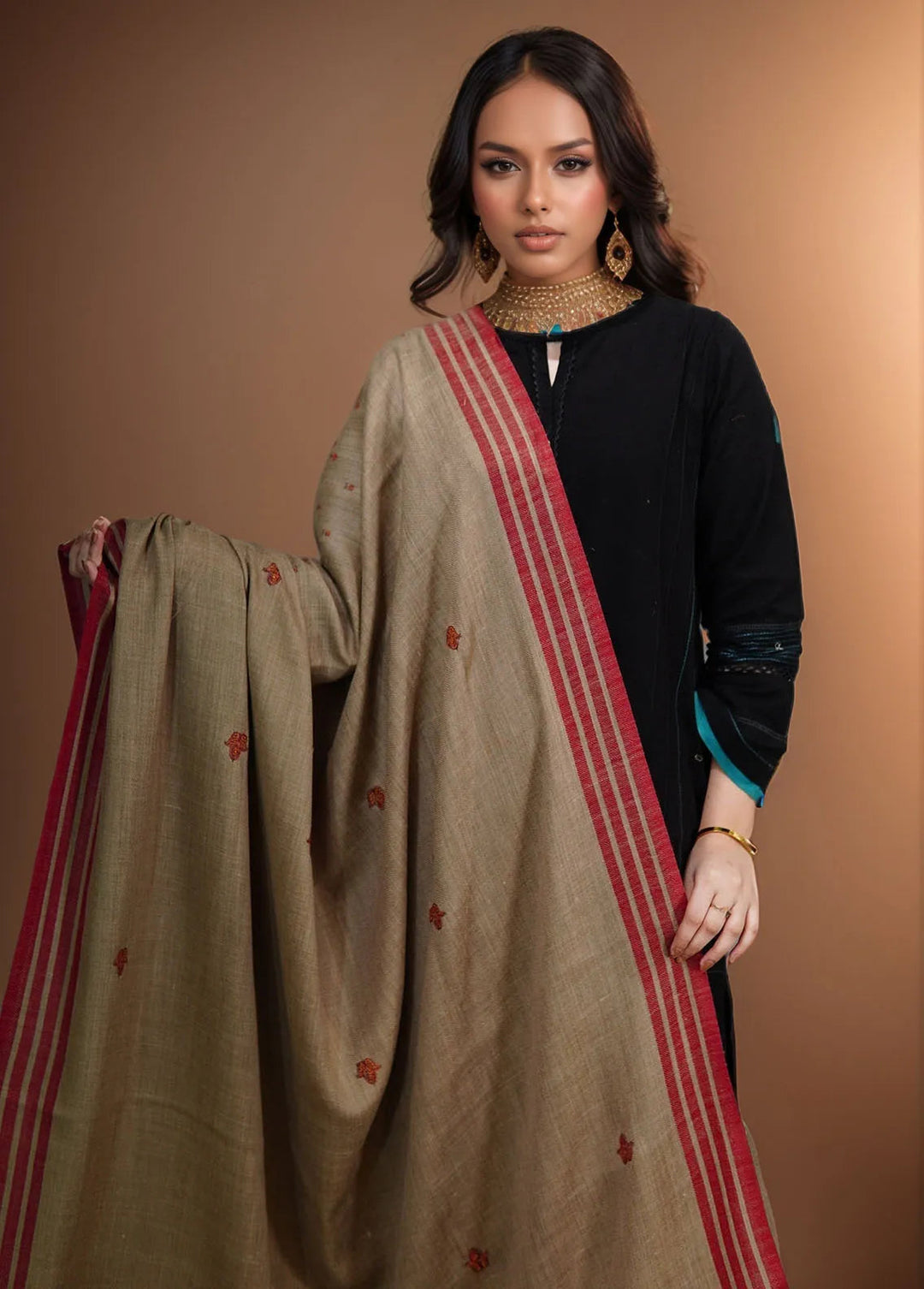 Sanaulla Exclusive Range Pashmina Shawl KPS D-2 Brown 1 - Winter Collection