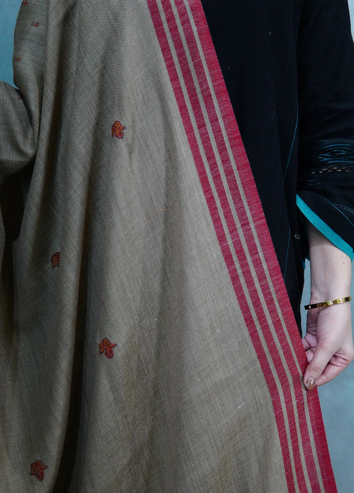 Sanaulla Exclusive Range Pashmina Shawl KPS D-2 Brown 1 - Winter Collection