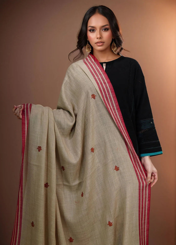 Sanaulla Exclusive Range Pashmina Shawl KPS D-2 Light Brown 1 - Winter Collection