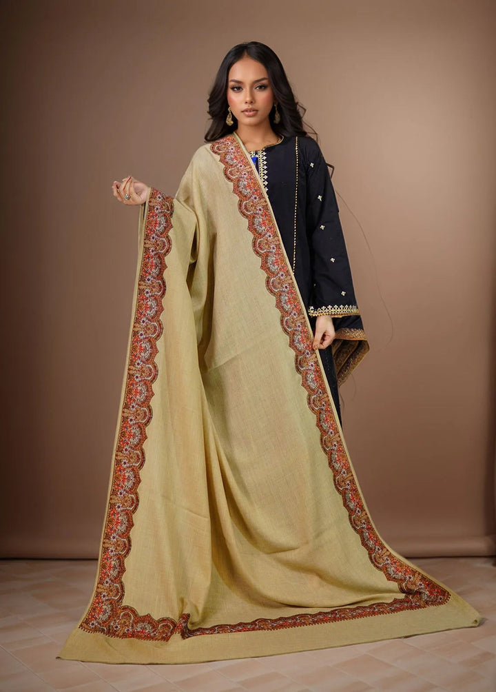 Sanaulla Exclusive Range Pashmina Shawl KPS D-25 Brown 1 - Winter Collection