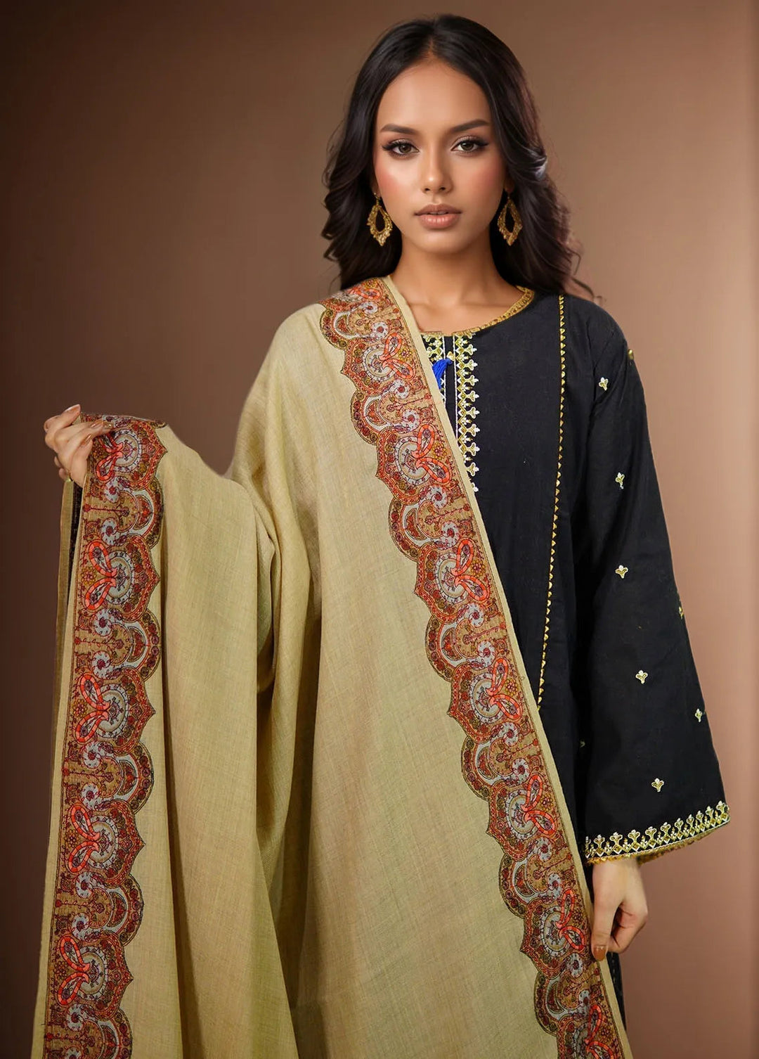 Sanaulla Exclusive Range Pashmina Shawl KPS D-25 Brown 1 - Winter Collection