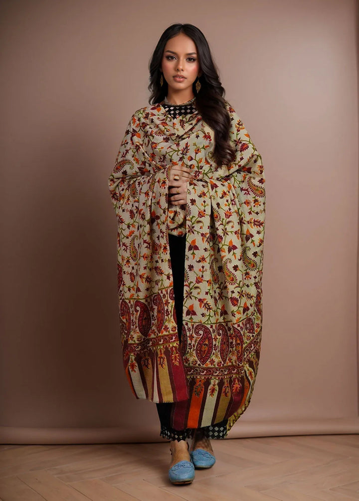 Sanaulla Exclusive Range Pashmina Shawl KPS D-27 Multi 5 - Winter Collection