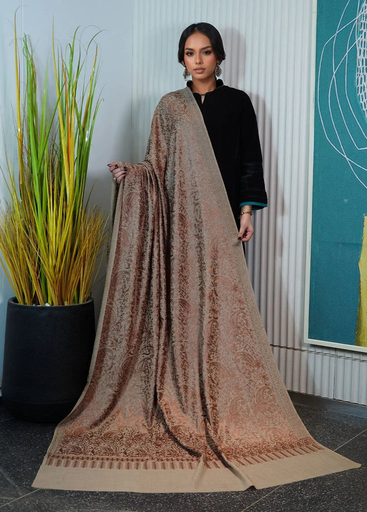 Sanaulla Exclusive Range Pashmina Shawl KPS D-35 Light Brown - Winter Collection