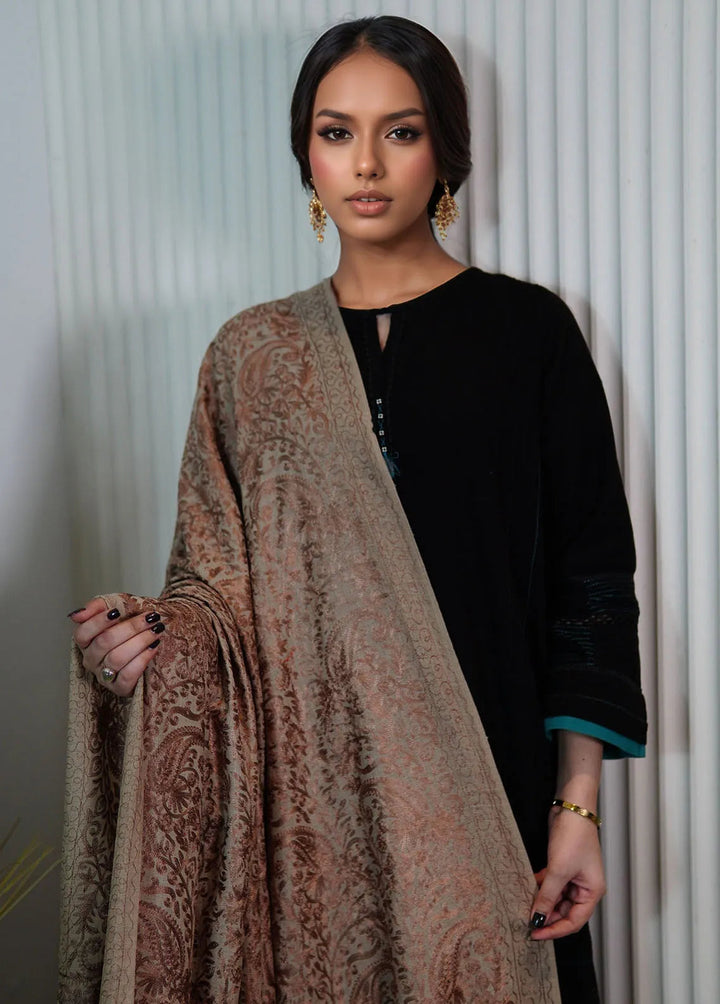 Sanaulla Exclusive Range Pashmina Shawl KPS D-35 Light Brown - Winter Collection