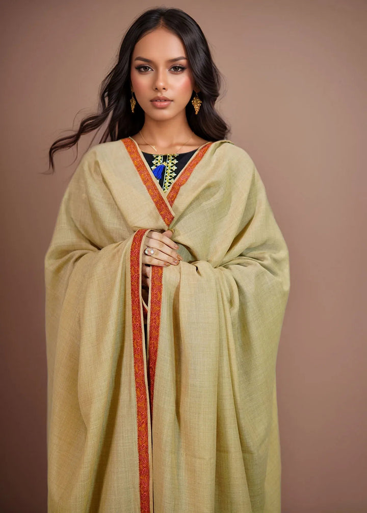 Sanaulla Exclusive Range Pashmina Shawl KPS D-36 Brown - Winter Collection