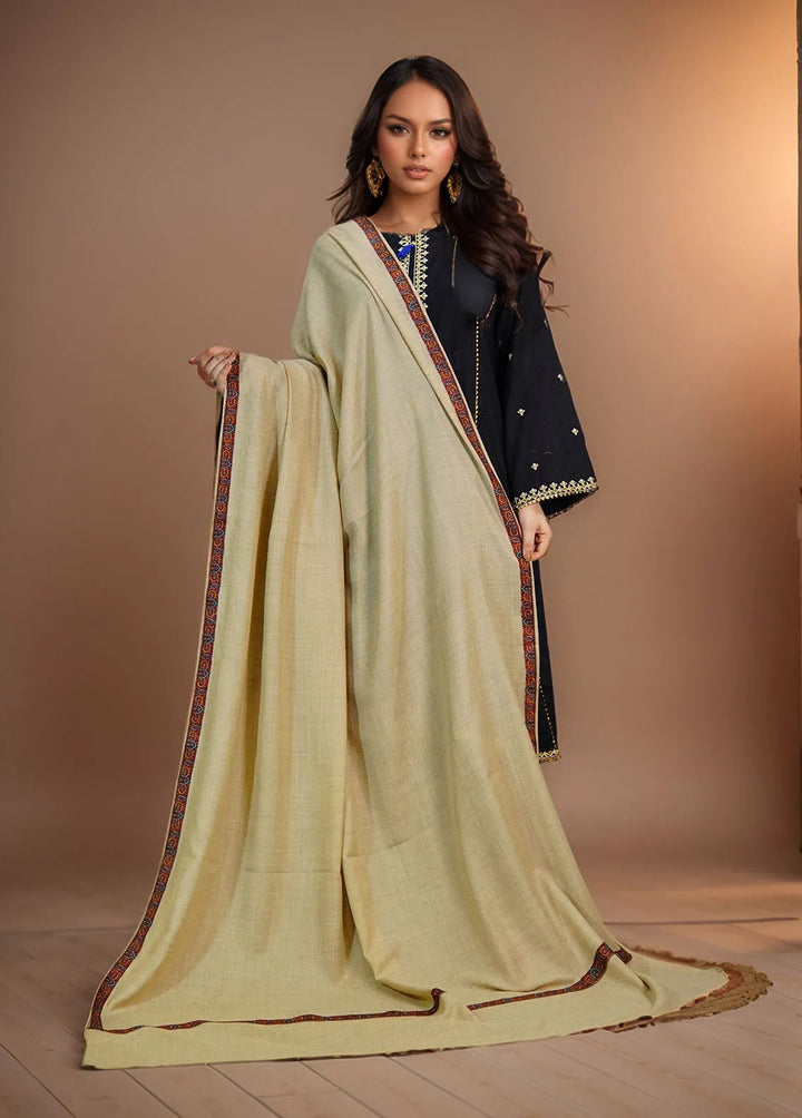 Sanaulla Exclusive Range Pashmina Shawl KPS D-36 Light Brown 3 - Winter Collection