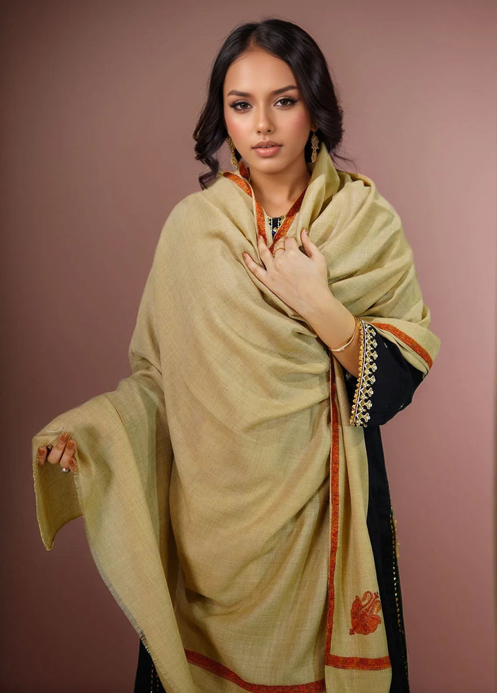 Sanaulla Exclusive Range Pashmina Shawl KPS D-38 Brown 1 - Winter Collection