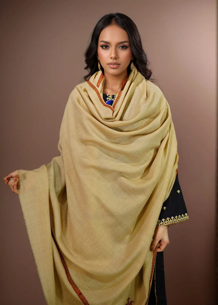 Sanaulla Exclusive Range Pashmina Shawl KPS D-38 Brown 2 - Winter Collection