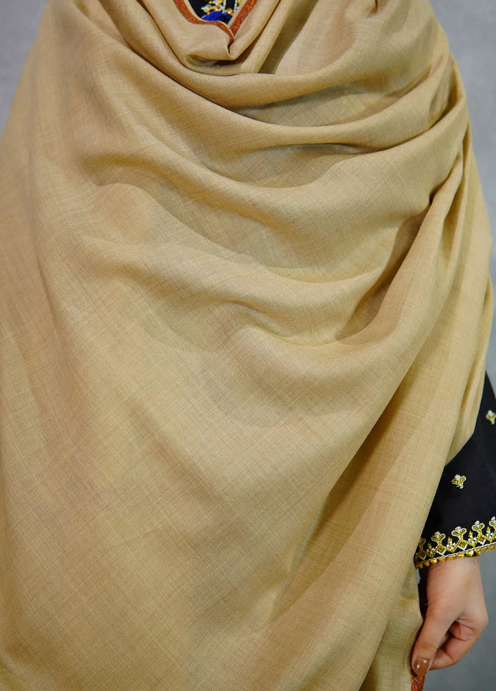 Sanaulla Exclusive Range Pashmina Shawl KPS D-38 Brown 2 - Winter Collection