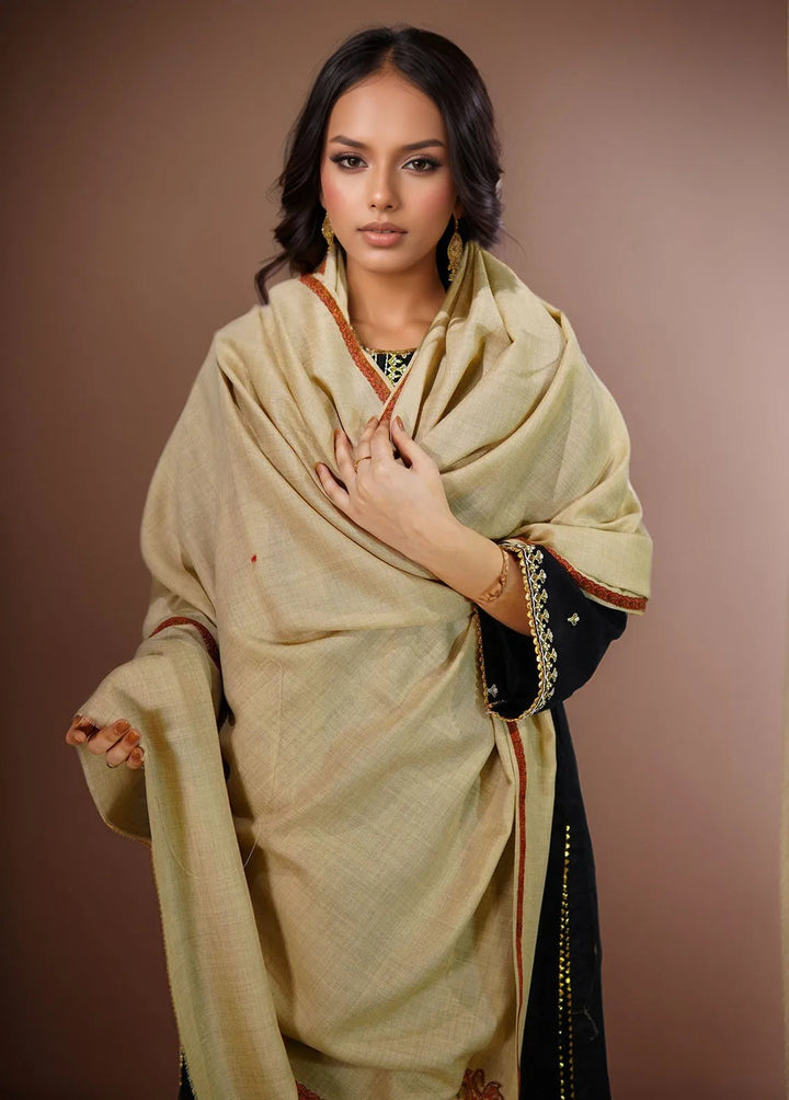 Sanaulla Exclusive Range Pashmina Shawl KPS D-38 Brown - Winter Collection