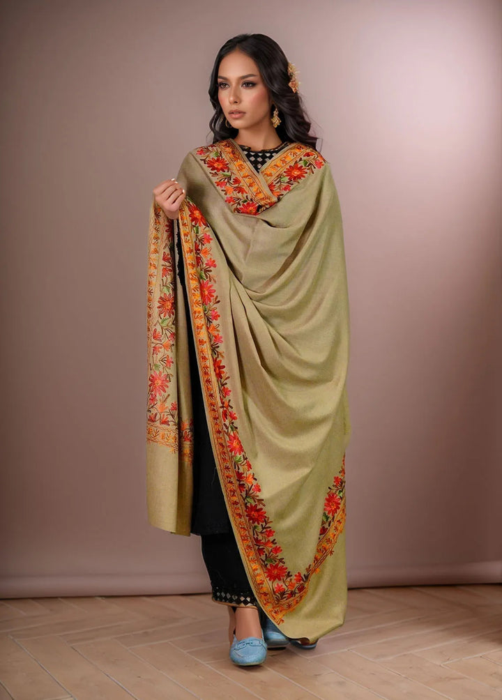 Sanaulla Exclusive Range Pashmina Shawl KPS D-4 Brown 2 - Winter Collection