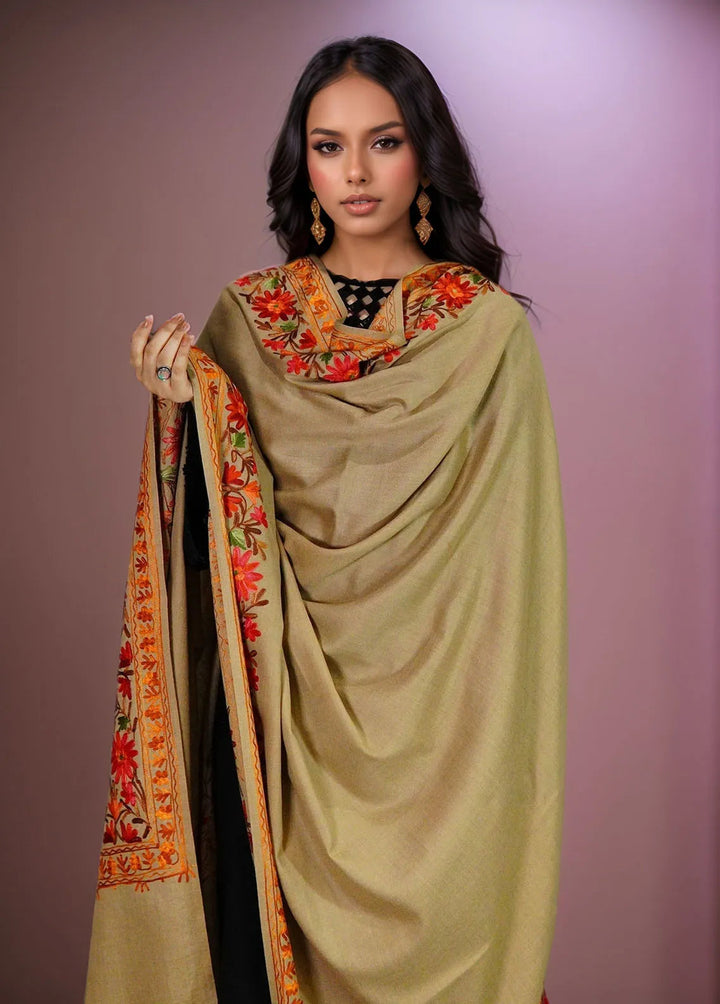 Sanaulla Exclusive Range Pashmina Shawl KPS D-4 Brown 2 - Winter Collection