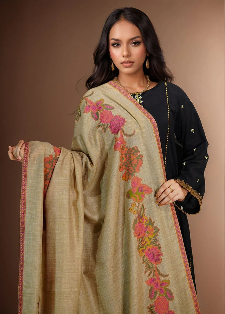 Sanaulla Exclusive Range Pashmina Shawl KPS D-42 Beige 1 - Winter Collection