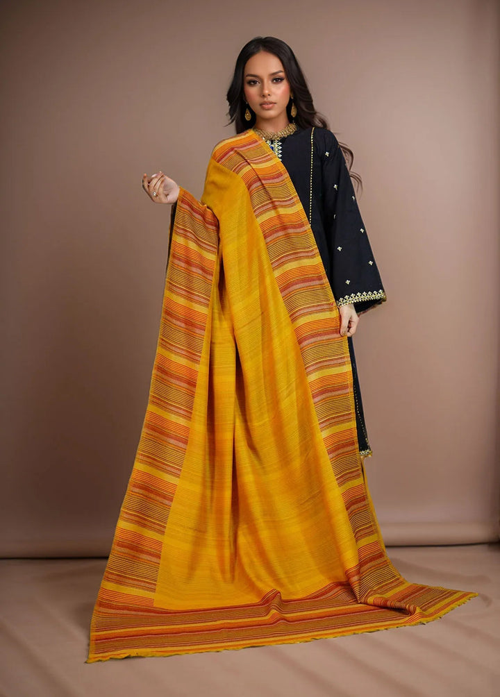 Sanaulla Exclusive Range Pashmina Shawl KPS D-43 Multi 1 - Winter Collection
