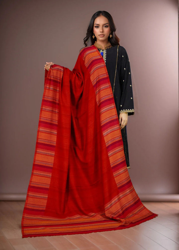 Sanaulla Exclusive Range Pashmina Shawl KPS D-43 Multi 2 - Winter Collection