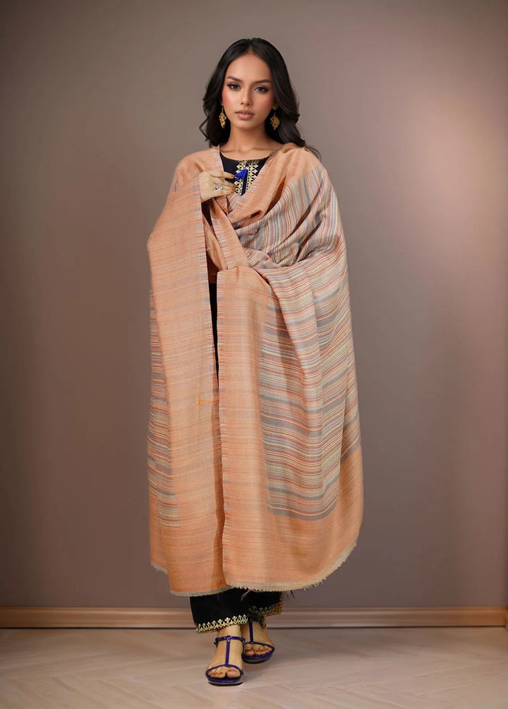 Sanaulla Exclusive Range Pashmina Shawl KPS D-43 Multi 4 - Winter Collection
