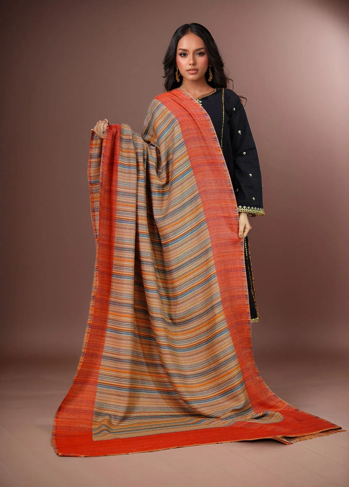 Sanaulla Exclusive Range Pashmina Shawl KPS D-43 Multi 6 - Winter Collection