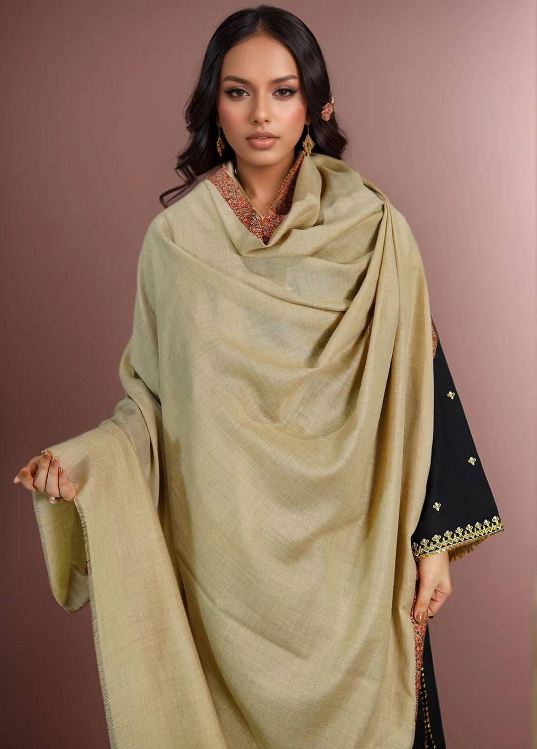 Sanaulla Exclusive Range Pashmina Shawl KPS D-51 Light Brown 1 - Winter Collection