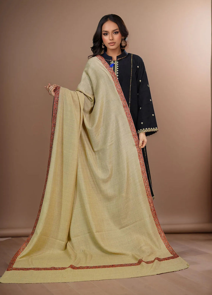 Sanaulla Exclusive Range Pashmina Shawl KPS D-51 Light Brown 3 - Winter Collection
