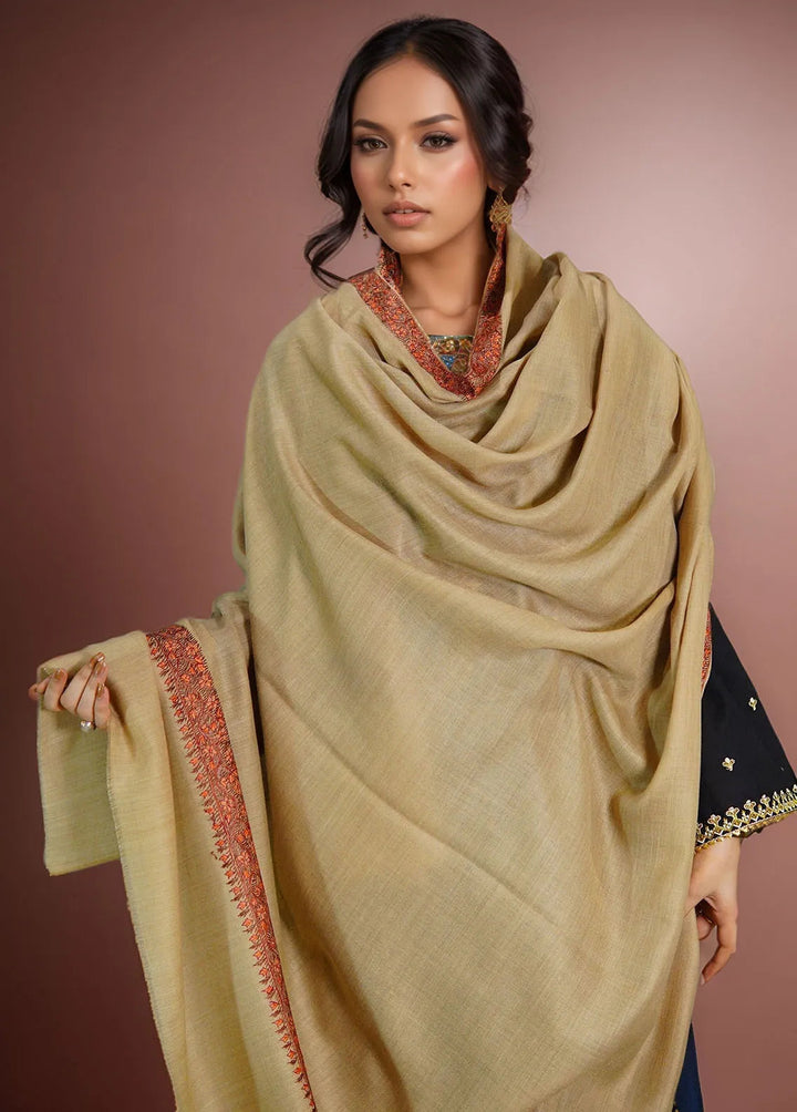 Sanaulla Exclusive Range Pashmina Shawl KPS D-51 Light Brown - Winter Collection