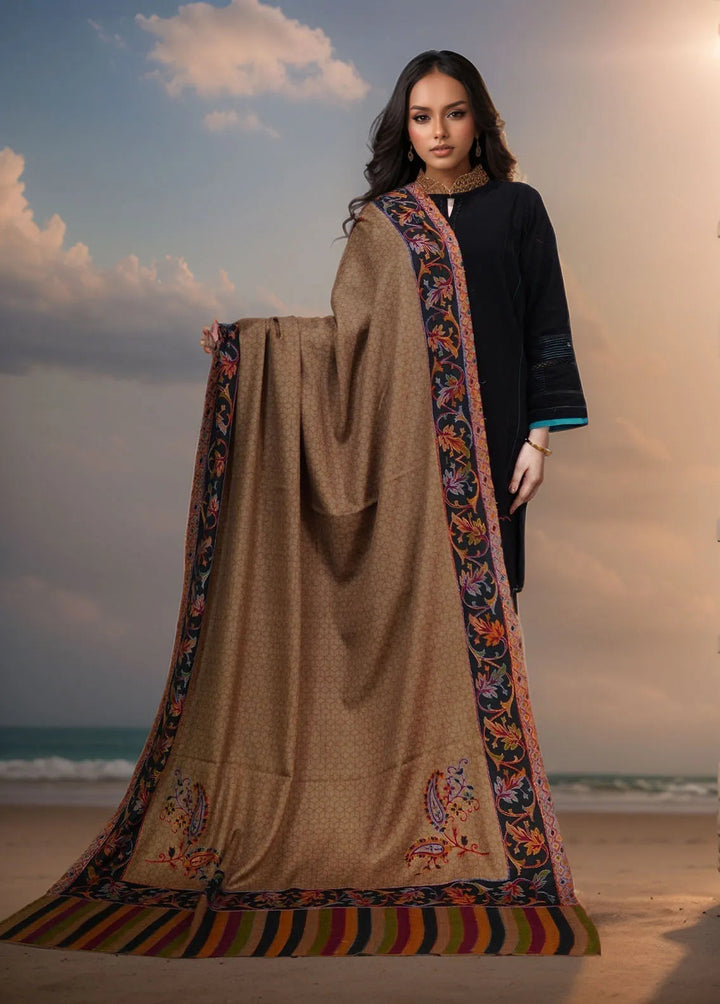 Sanaulla Exclusive Range Pashmina Shawl KPS D-52 Multi 25 - Winter Collection