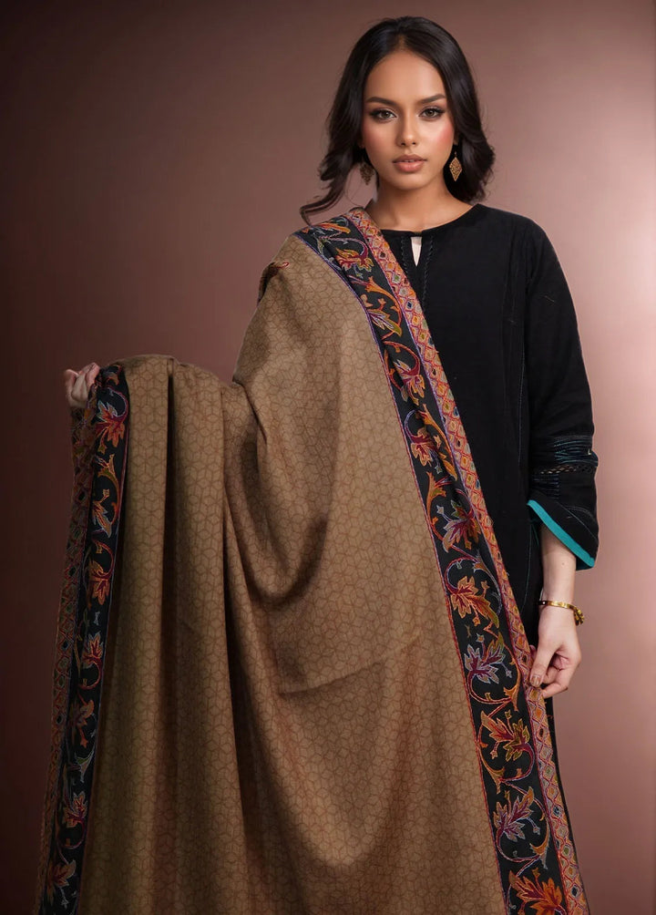Sanaulla Exclusive Range Pashmina Shawl KPS D-52 Multi 25 - Winter Collection