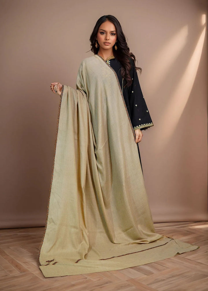 Sanaulla Exclusive Range Pashmina Shawl KPS D-62 Brown 2 - Winter Collection