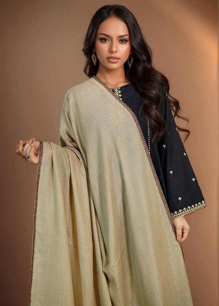 Sanaulla Exclusive Range Pashmina Shawl KPS D-62 Brown 2 - Winter Collection