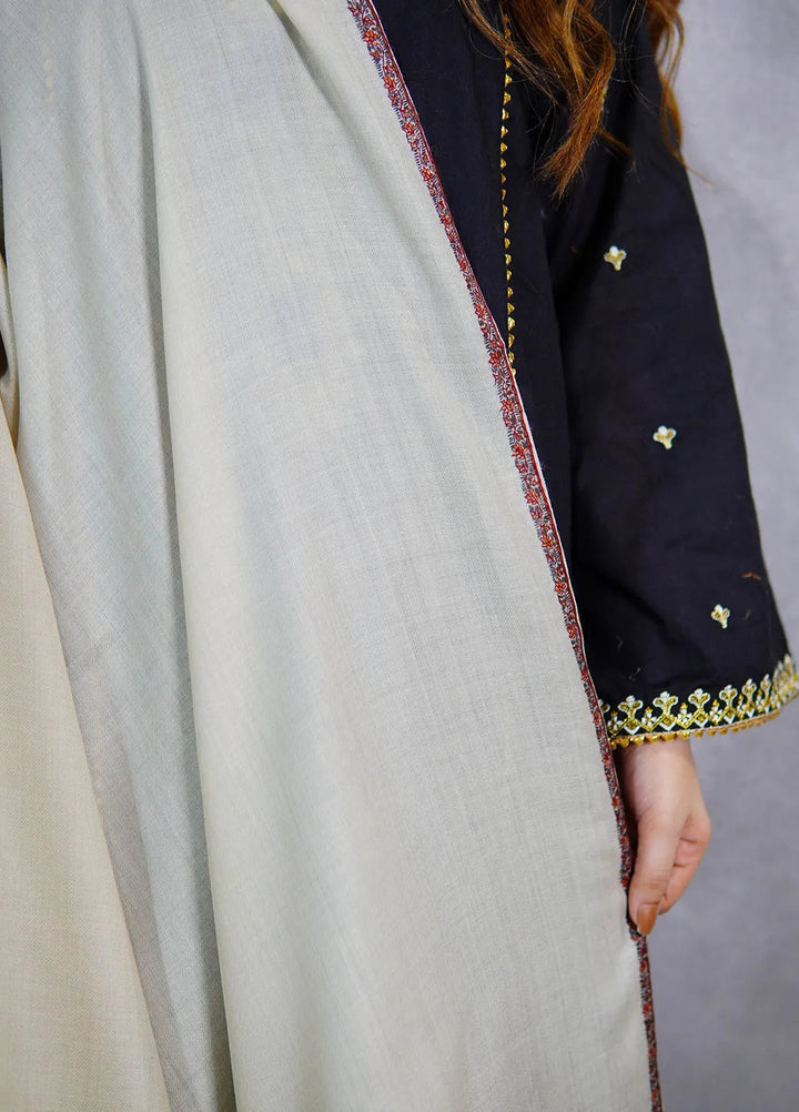 Sanaulla Exclusive Range Pashmina Shawl KPS D-62 Cream 2 - Winter Collection