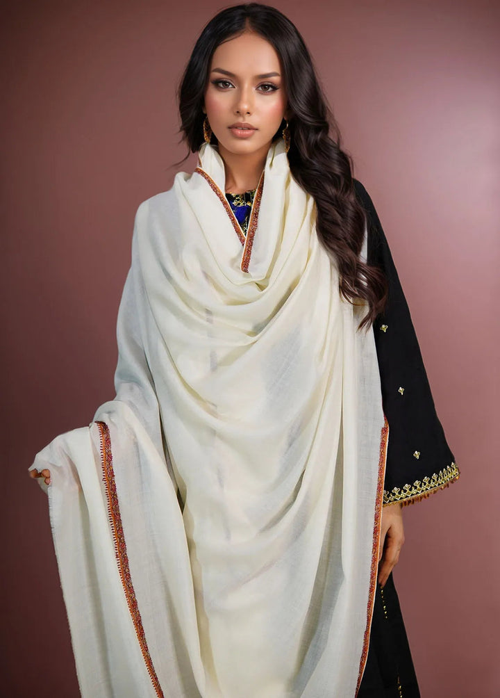 Sanaulla Exclusive Range Pashmina Shawl KPS D-62 Off White 3 - Winter Collection