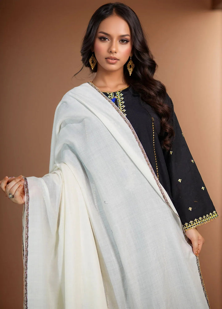 Sanaulla Exclusive Range Pashmina Shawl KPS D-62 Off White - Winter Collection
