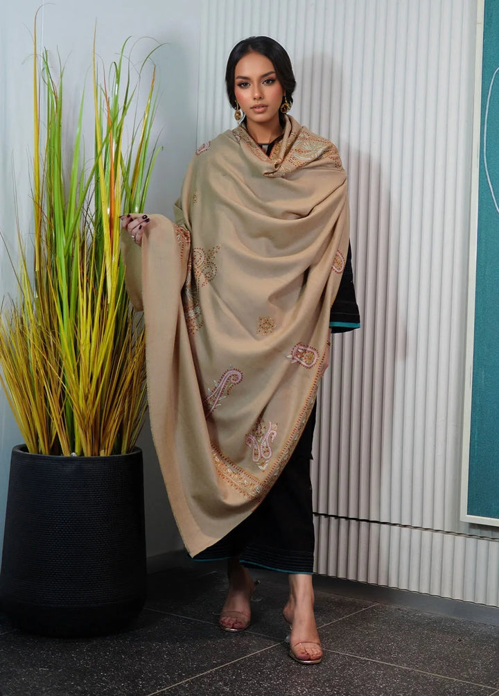 Sanaulla Exclusive Range Pashmina Shawl KPS D-89 Fawn - Winter Collection