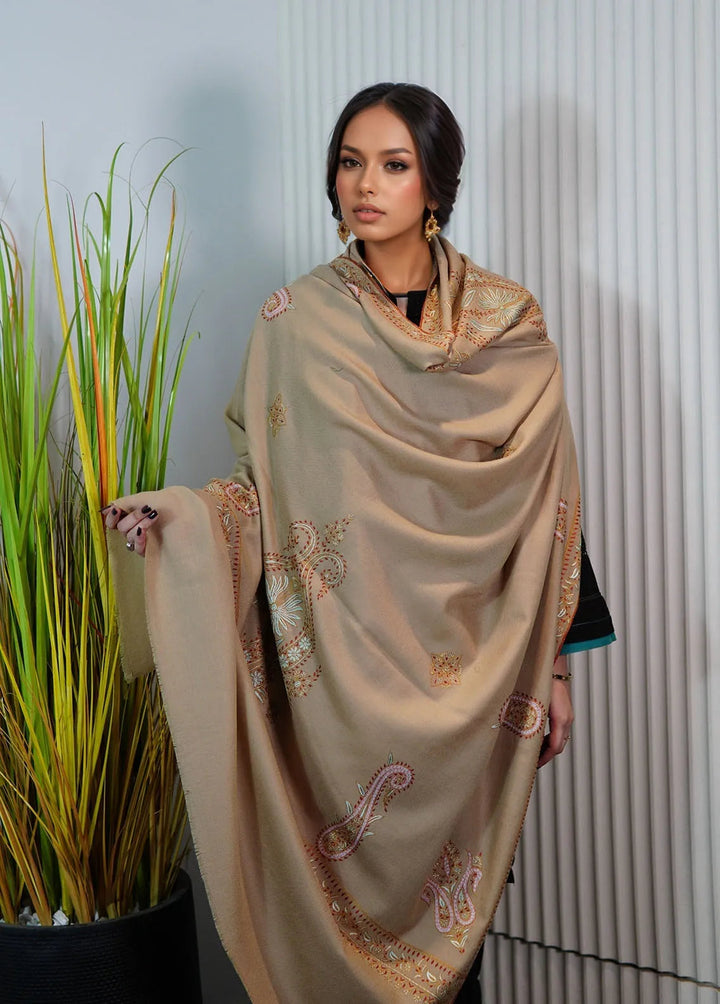 Sanaulla Exclusive Range Pashmina Shawl KPS D-89 Fawn - Winter Collection