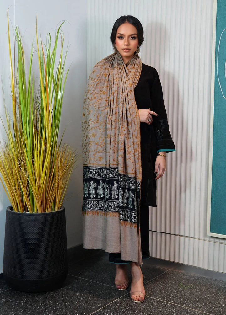 Sanaulla Exclusive Range Pashmina Shawl KPS D-94 Brown - Winter Collection