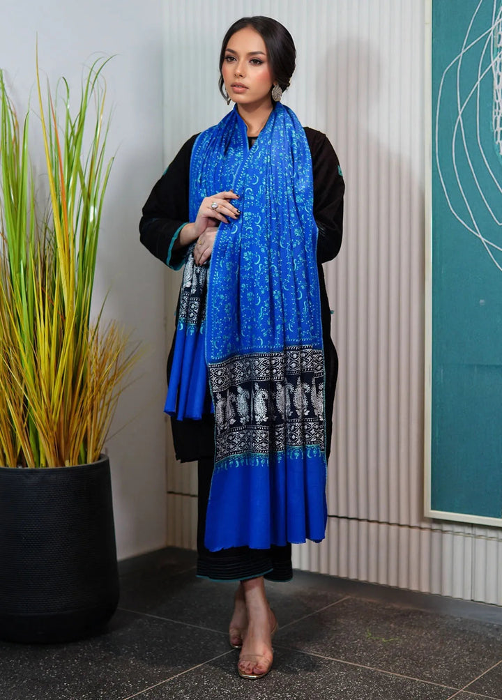 Sanaulla Exclusive Range Pashmina Shawl KPS D-94 Sky Blue - Winter Collection