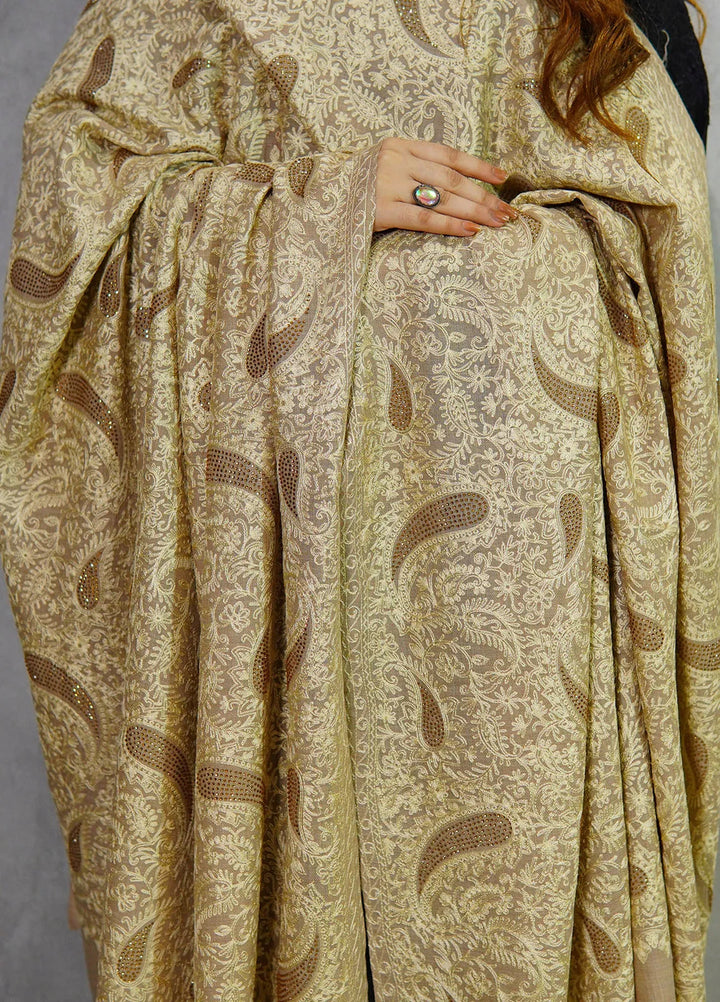 Sanaulla Exclusive Range Pashmina Shawl MAMA D-1 Light Brown - Winter Collection