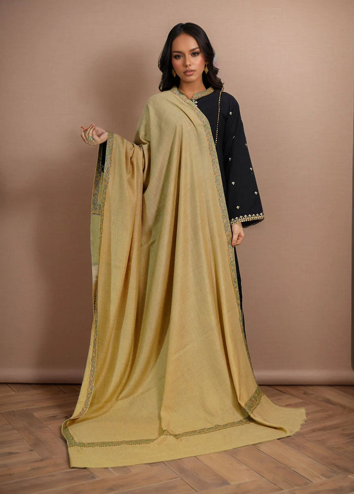 Sanaulla Exclusive Range Pashmina Shawl MAMA D-11 Brown - Winter Collection