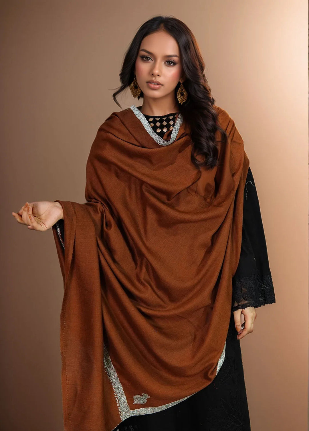 Sanaulla Exclusive Range Pashmina Shawl MAMA D-2 Brown - Winter Collection