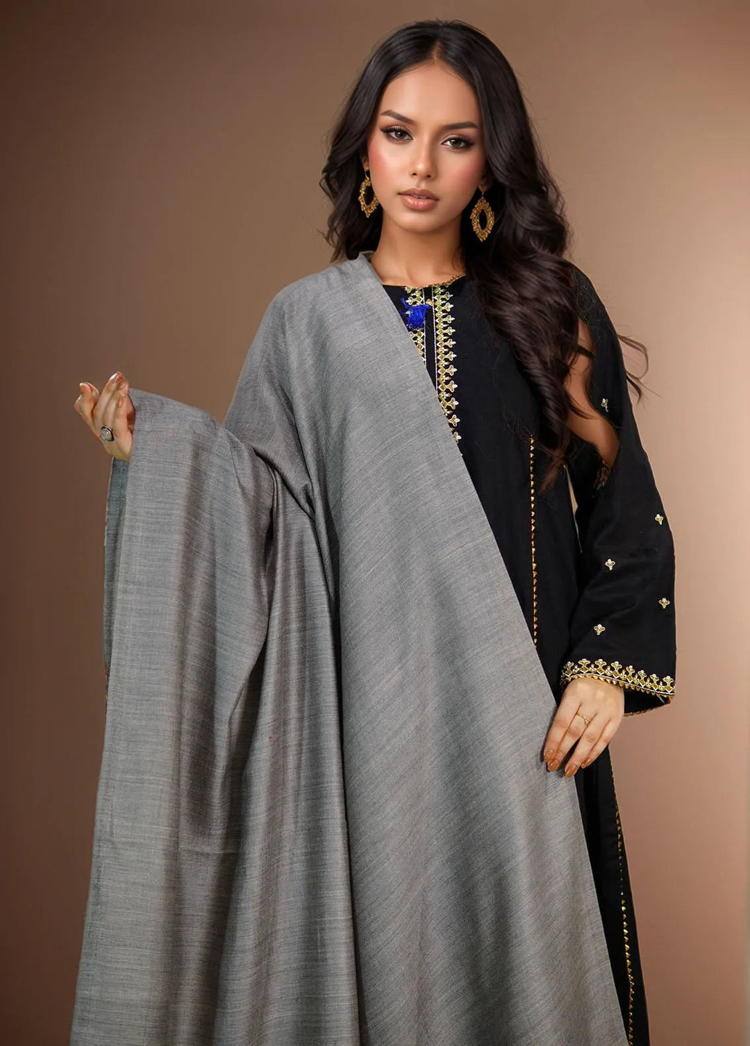 Sanaulla Exclusive Range Pashmina Shawl MAMA D-22 Multi 6 - Winter Collection