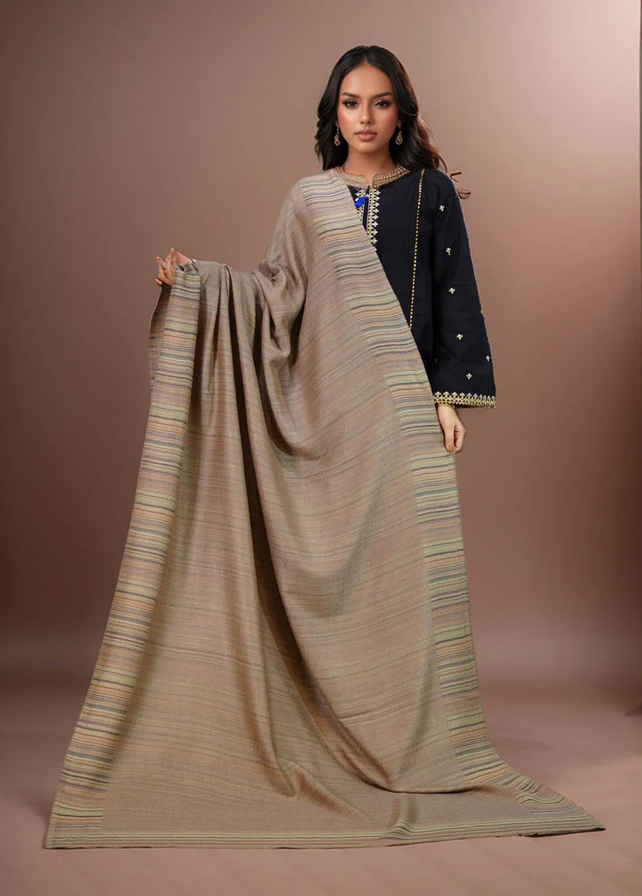 Sanaulla Exclusive Range Pashmina Shawl MAMA D-29 Brown 3 - Winter Collection