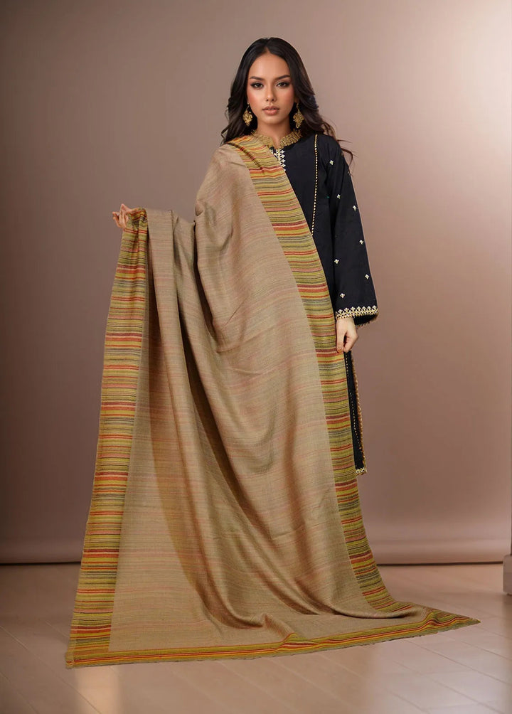 Sanaulla Exclusive Range Pashmina Shawl MAMA D-29 Brown - Winter Collection