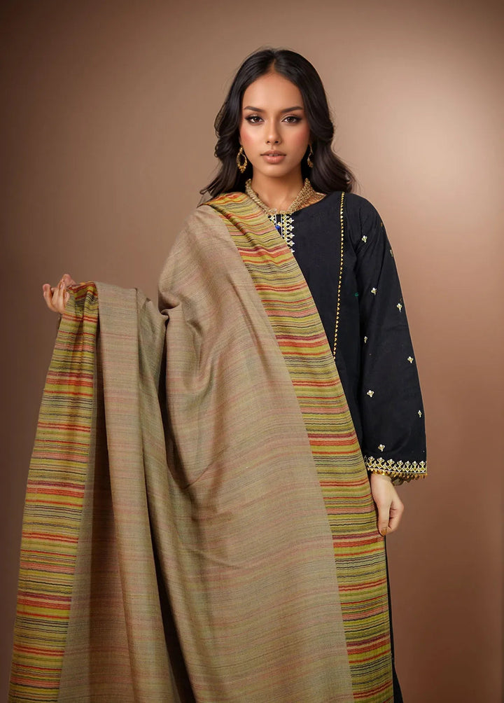 Sanaulla Exclusive Range Pashmina Shawl MAMA D-29 Brown - Winter Collection
