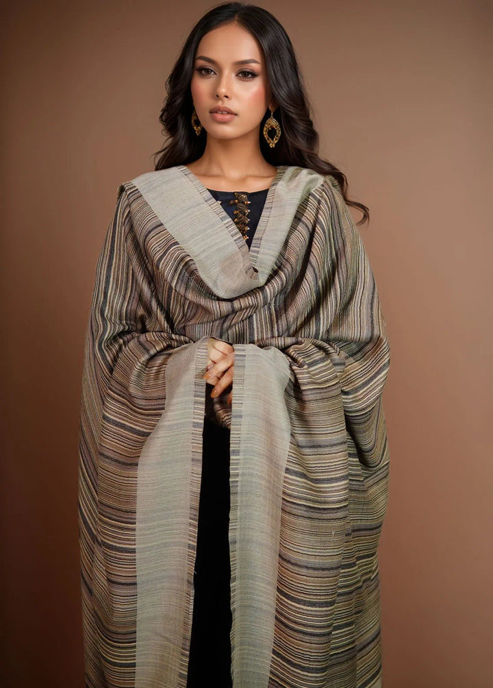 Sanaulla Exclusive Range Pashmina Shawl MAMA D-29 Grey - Winter Collection