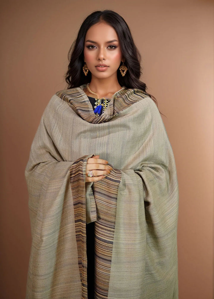 Sanaulla Exclusive Range Pashmina Shawl MAMA D-29 Light Grey - Winter Collection