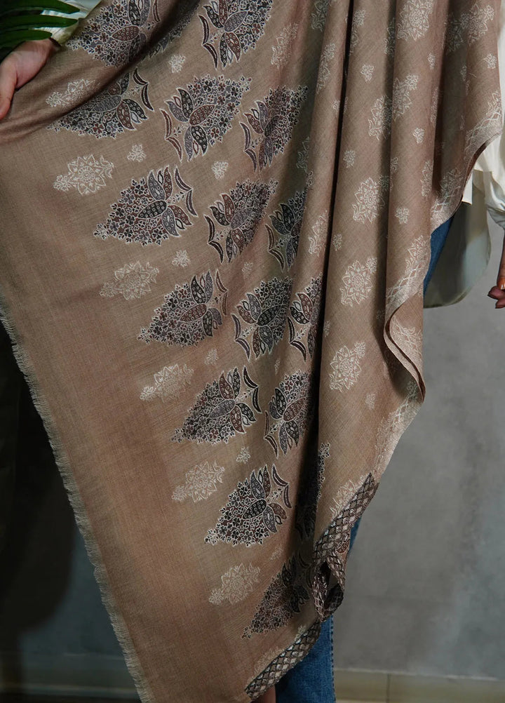Sanaulla Exclusive Range Pashmina Shawl MAMA D-3 Brown - Winter Collection